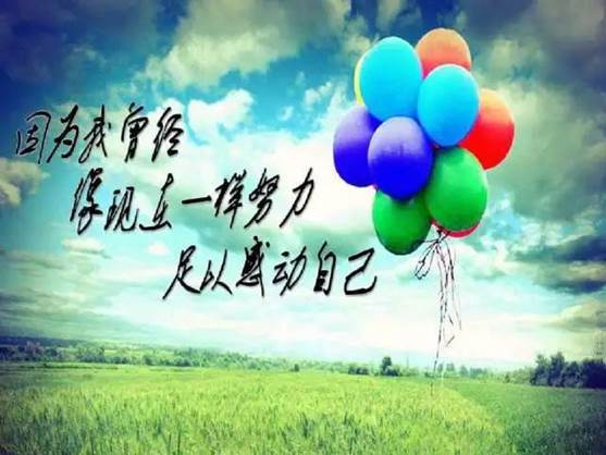 说明: IMG_262