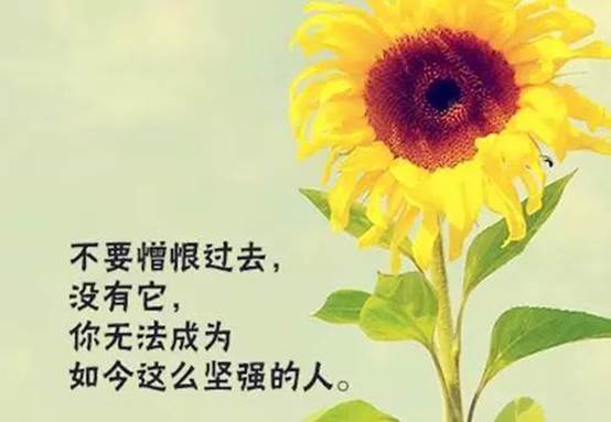 说明: IMG_261