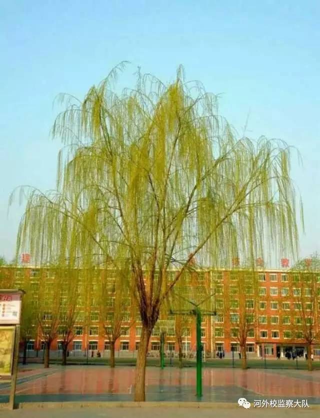 说明: IMG_264