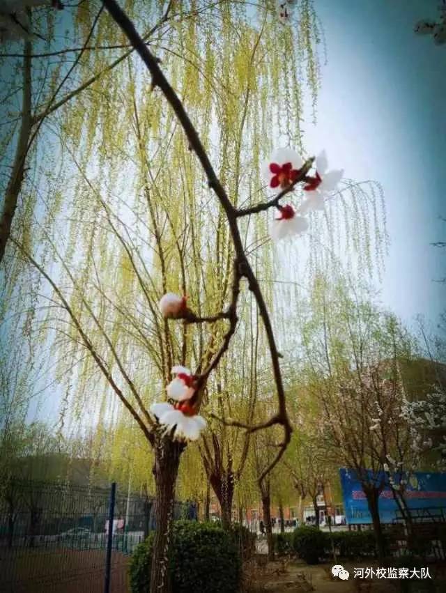 说明: IMG_273