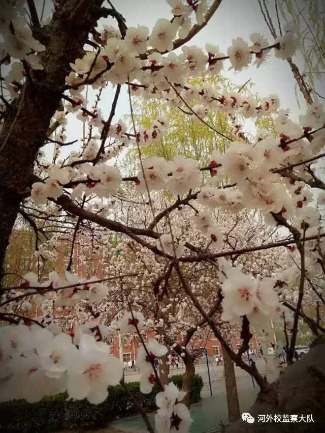 说明: IMG_284